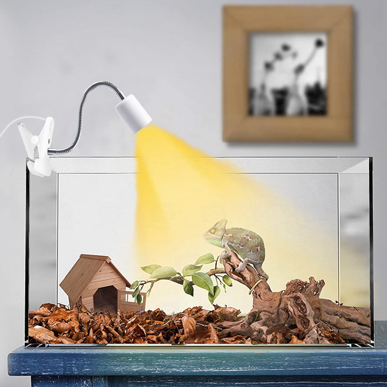 LEDライト E26ソケット 三つ葉型5個セットメダカ飼育 LEDライト E26ソケット 三つ葉型5個セットメダカ飼育 LEDライト E26